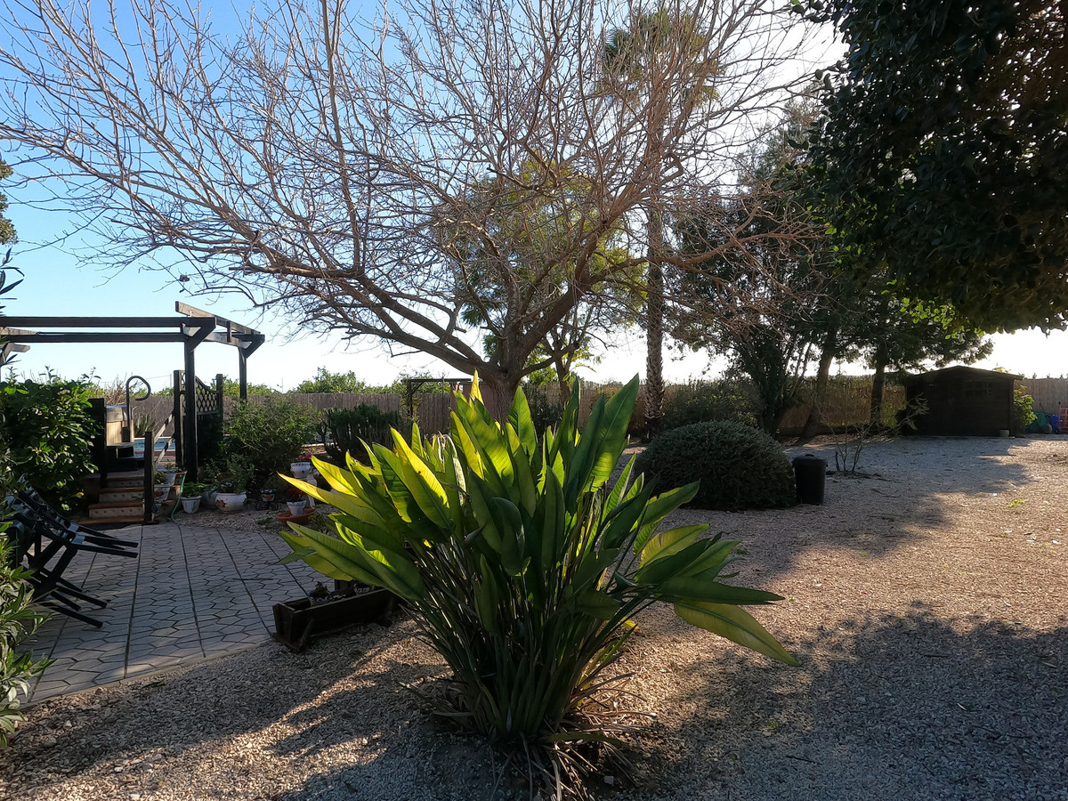 Finca - Cortijo te koop in Orihuela | 3 slaapkamers H5300641