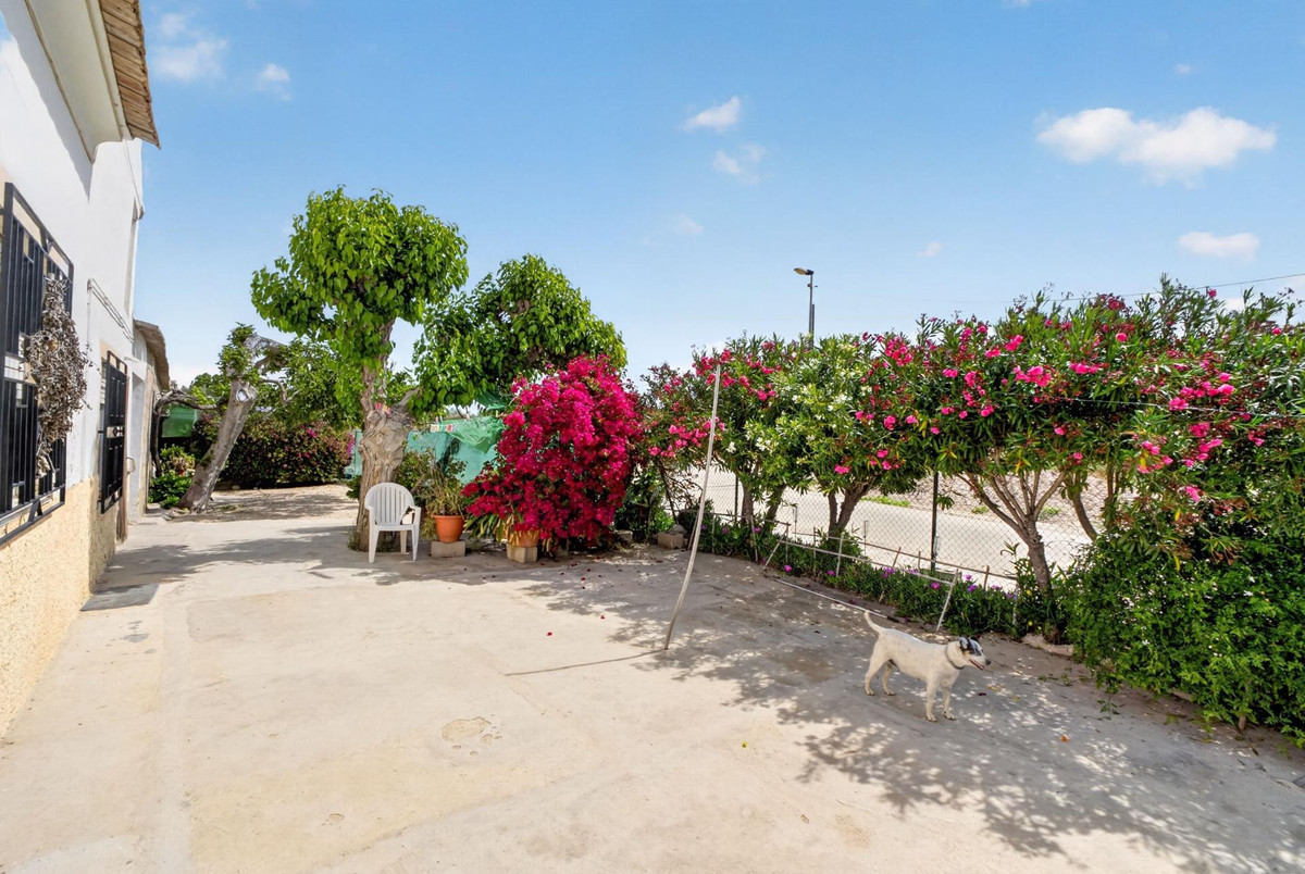 Finca - Cortijo te koop in Orihuela | 3 slaapkamers H5412880