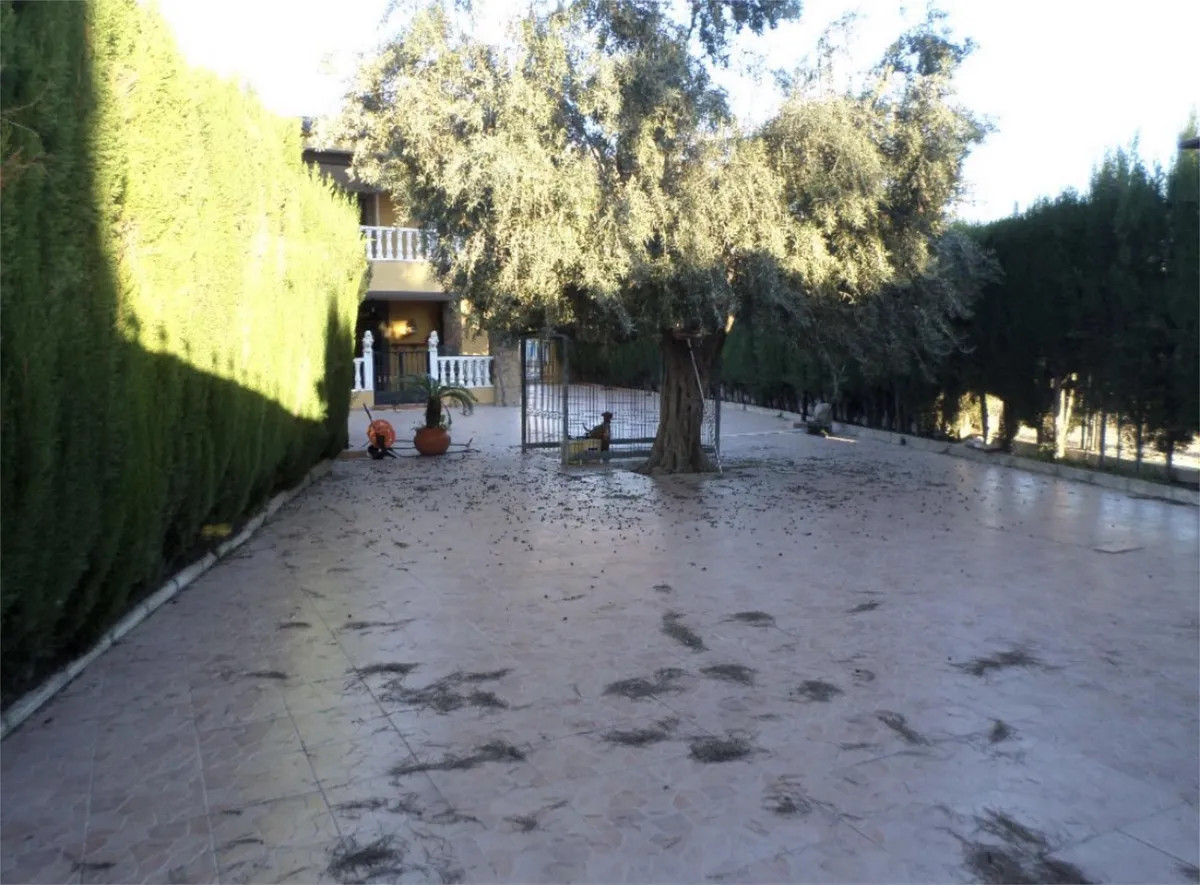 Property main view 5