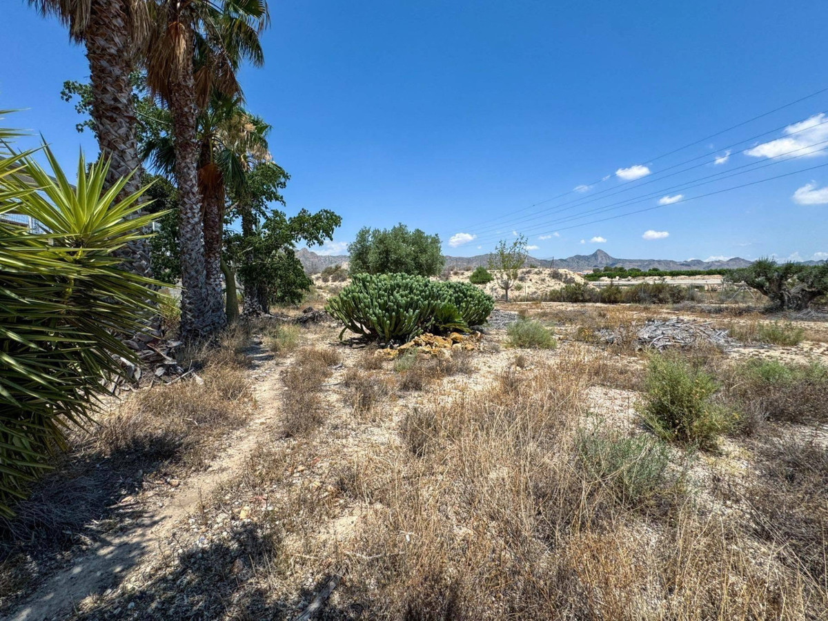 Property main view 45