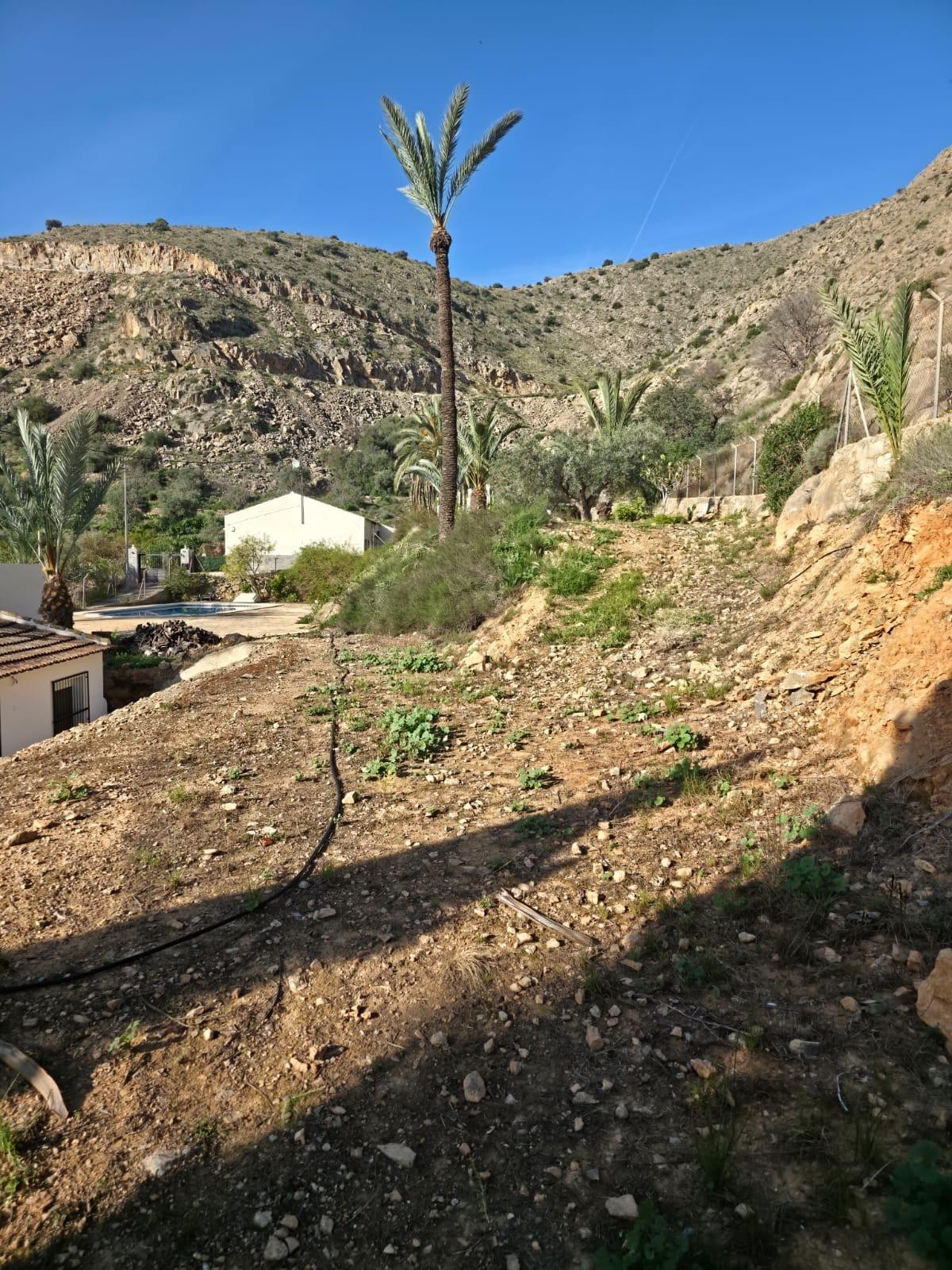 Property main view 44