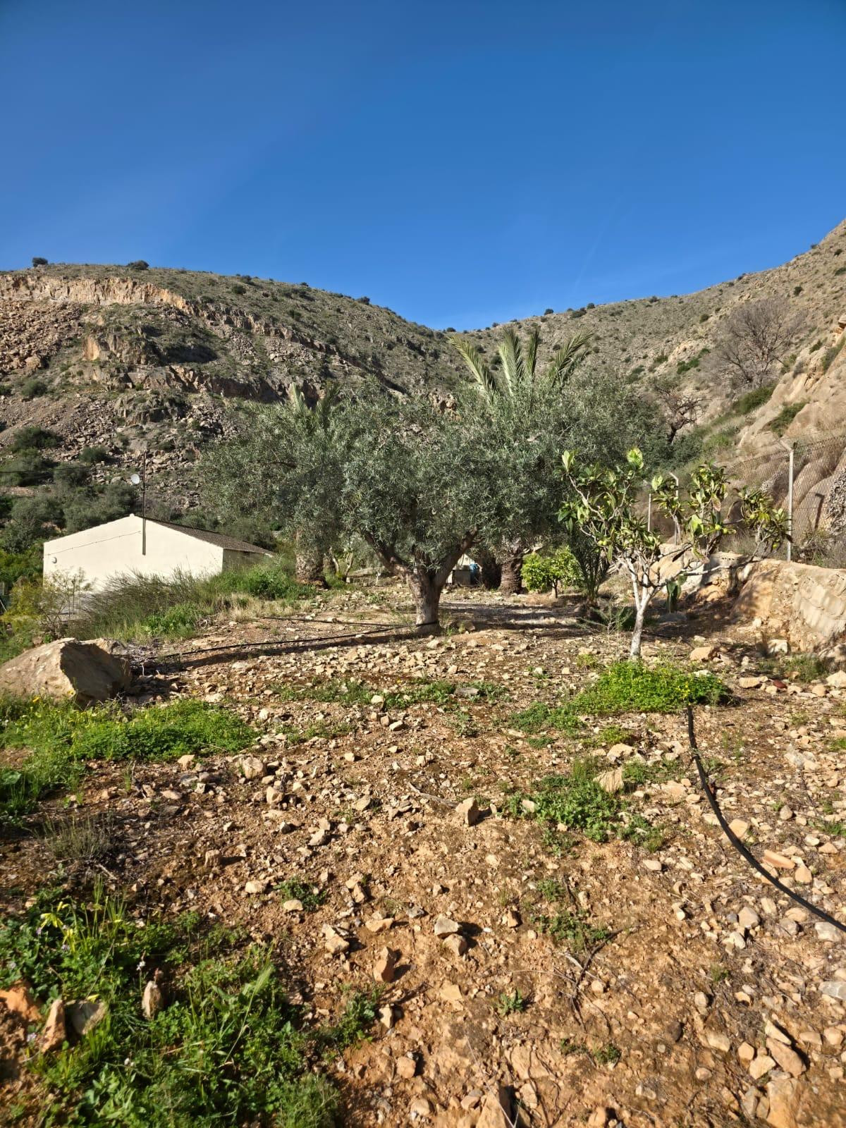 Property main view 46