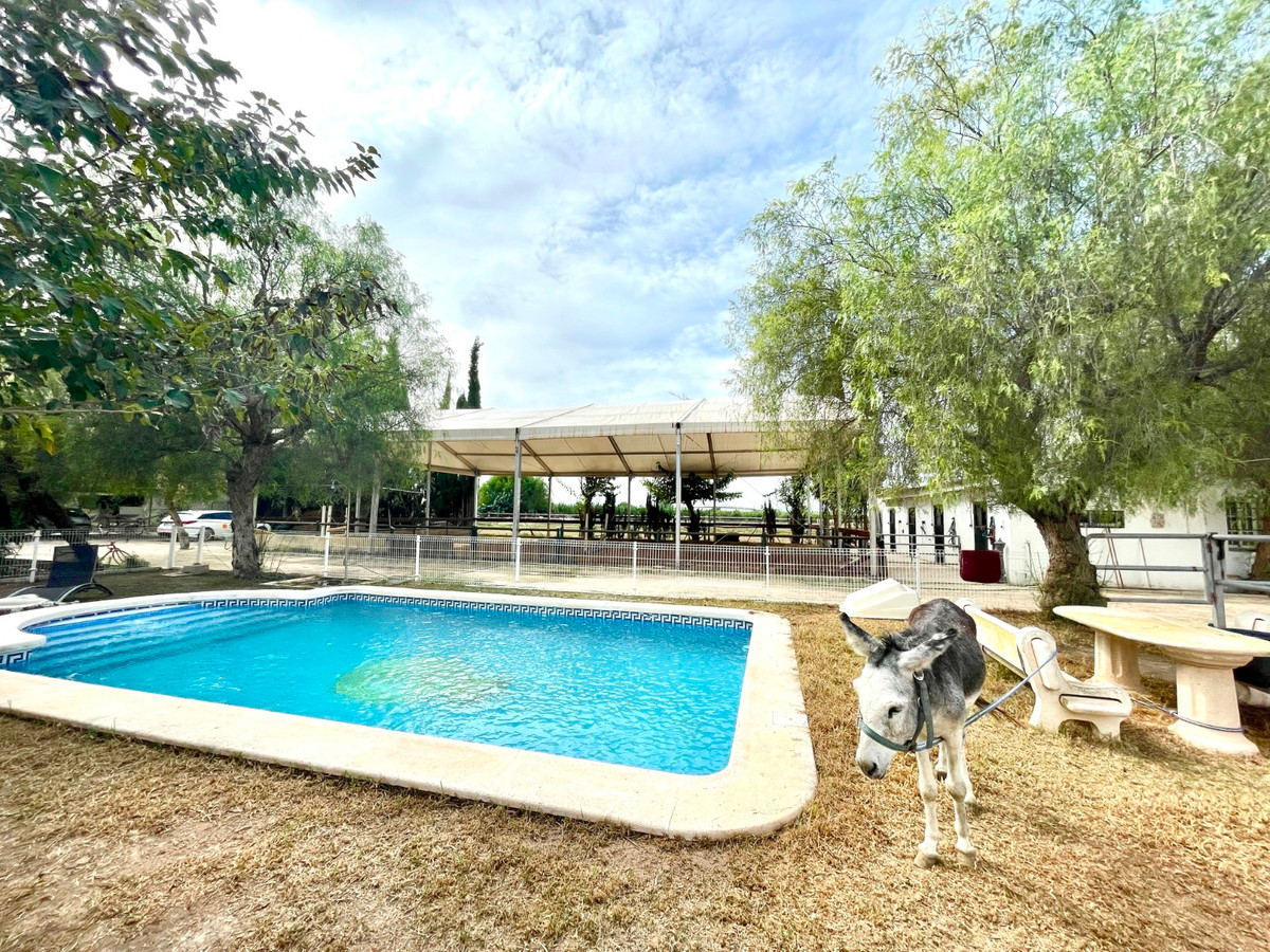 Finca - Cortijo te koop in Orihuela | 3 slaapkamers H5520454