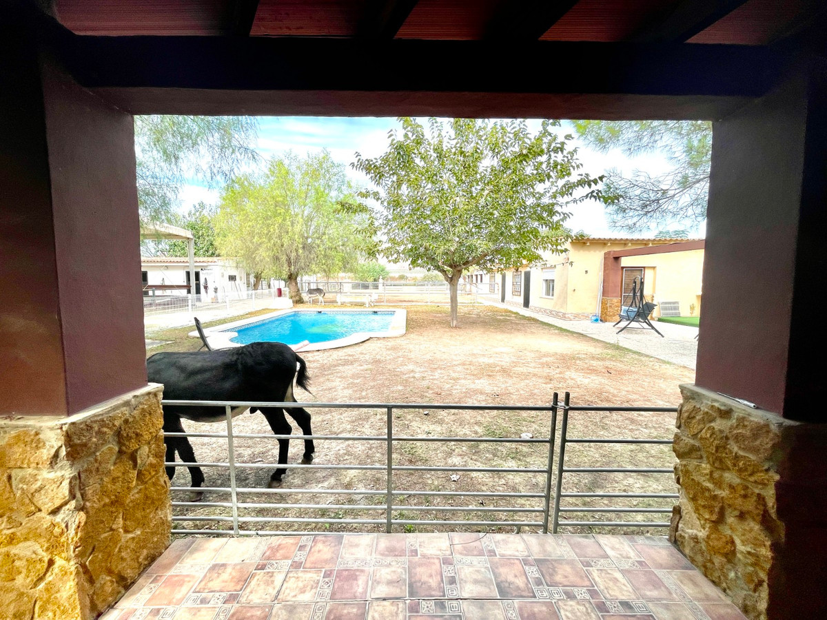 Finca - Cortijo te koop in Orihuela | 3 slaapkamers H5520454