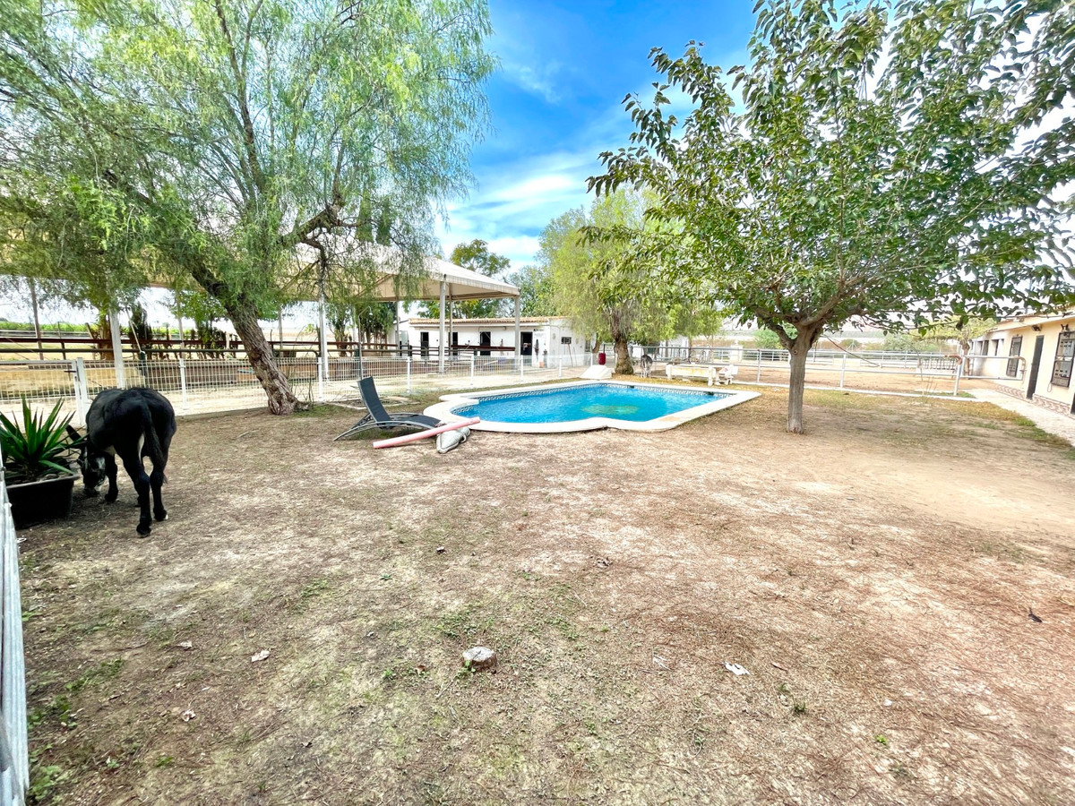 Finca - Cortijo te koop in Orihuela | 3 slaapkamers H5520454