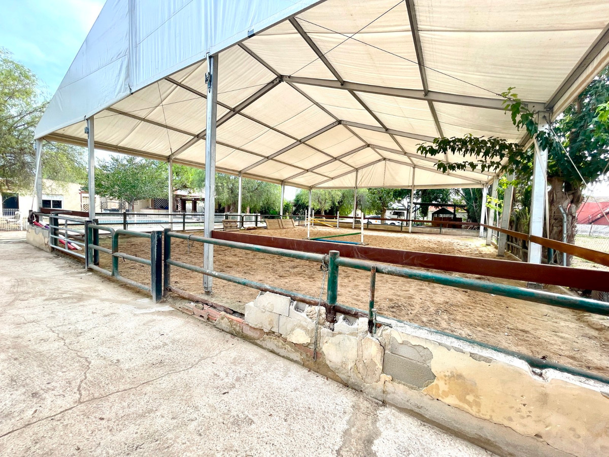 Finca - Cortijo te koop in Orihuela | 3 slaapkamers H5520454