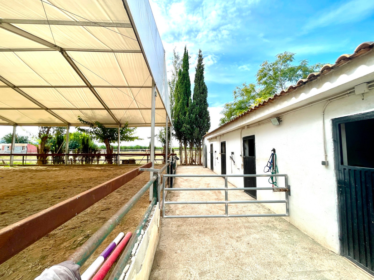 Finca - Cortijo te koop in Orihuela | 3 slaapkamers H5520454