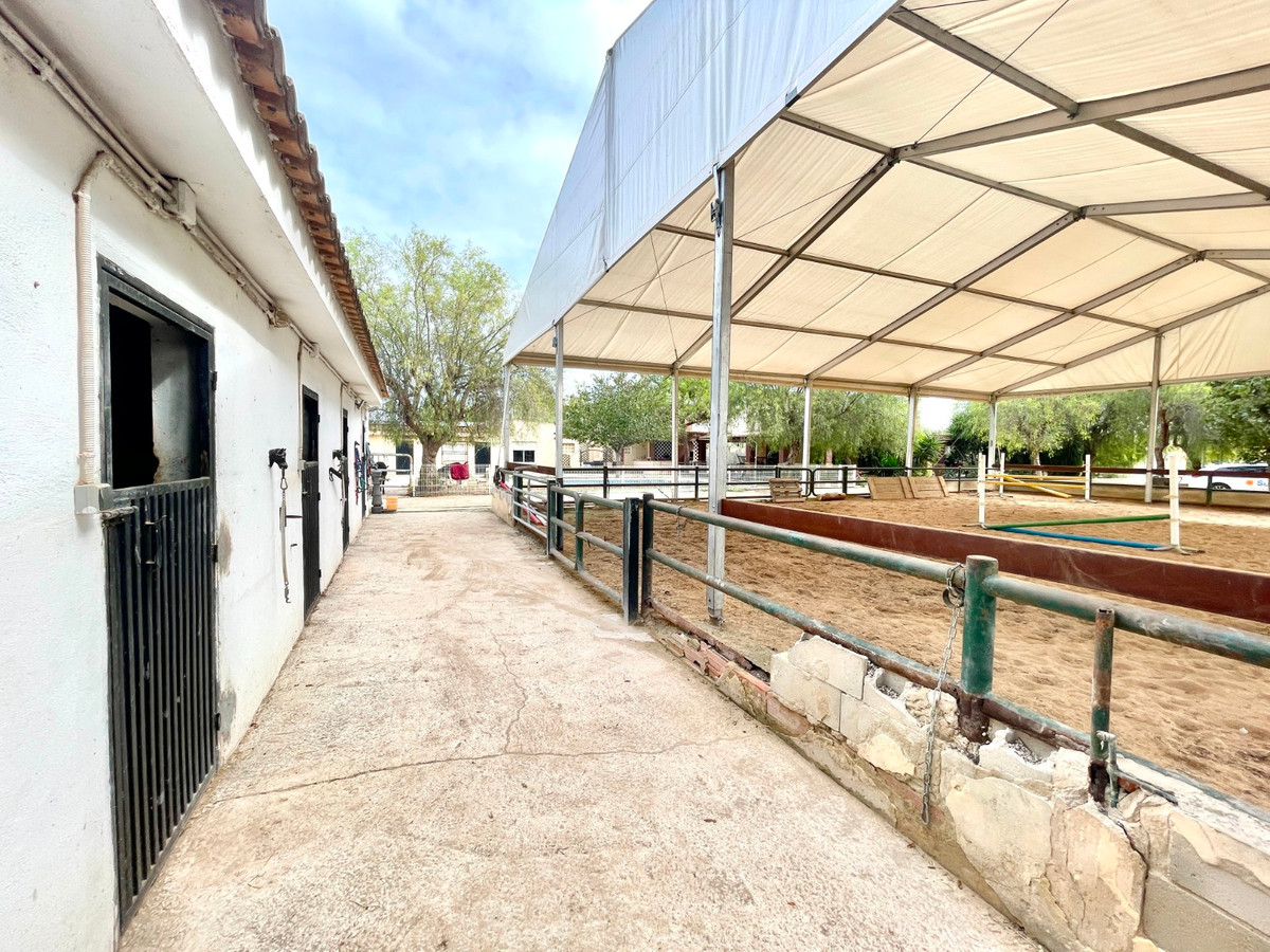 Finca - Cortijo te koop in Orihuela | 3 slaapkamers H5520454