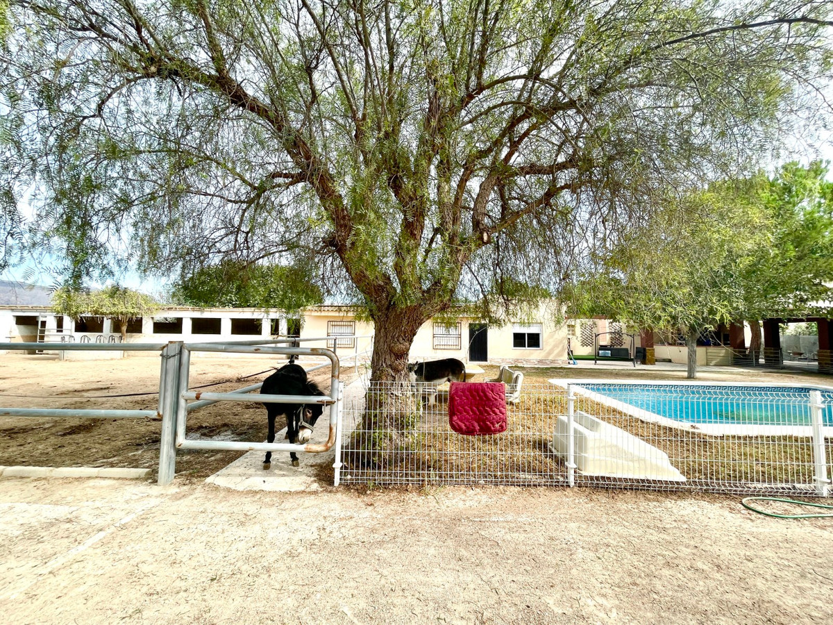 Finca - Cortijo te koop in Orihuela | 3 slaapkamers H5520454