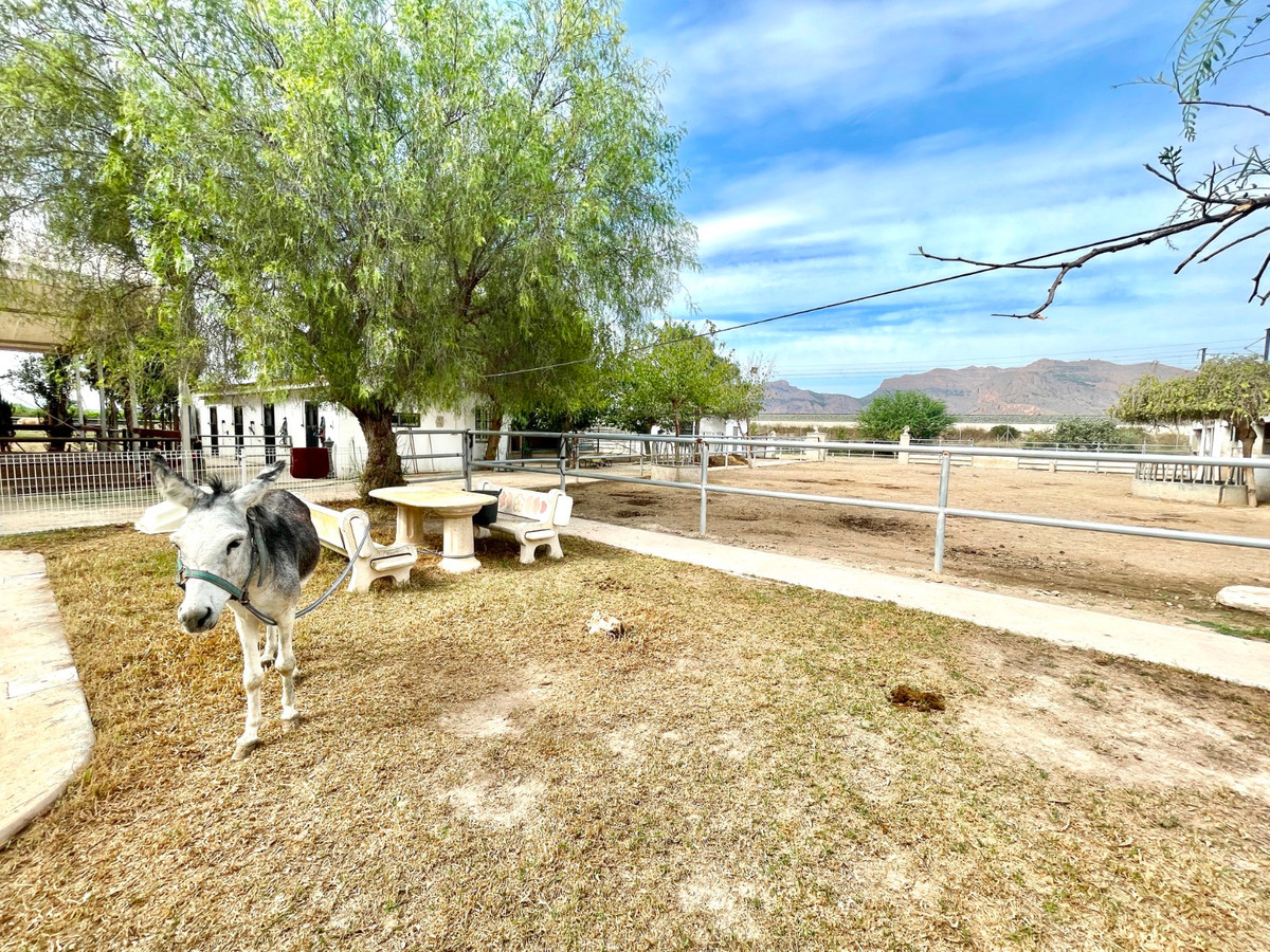 Finca - Cortijo te koop in Orihuela | 3 slaapkamers H5520454