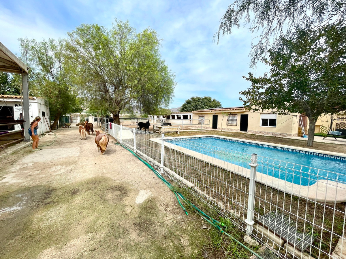 Finca - Cortijo te koop in Orihuela | 3 slaapkamers H5520454
