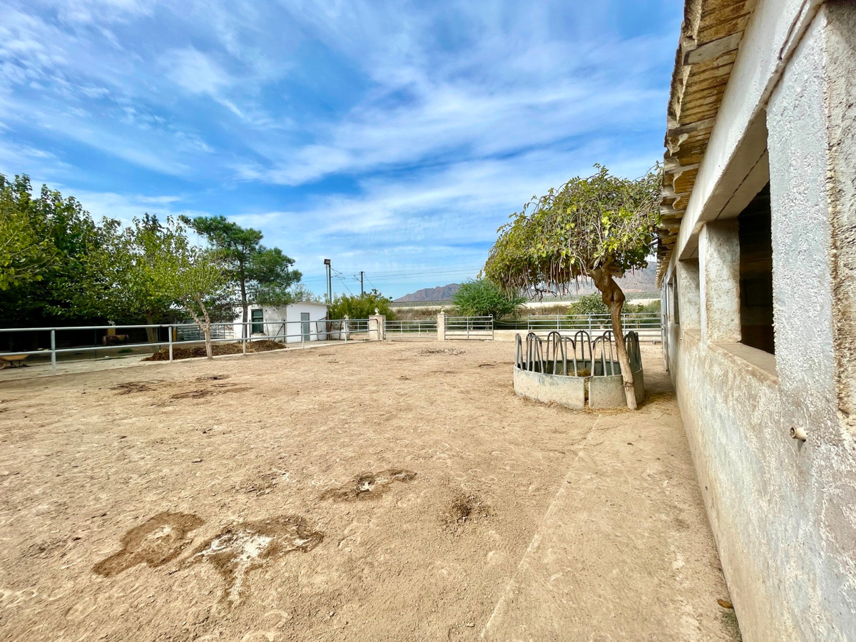 Finca - Cortijo te koop in Orihuela | 3 slaapkamers H5520454