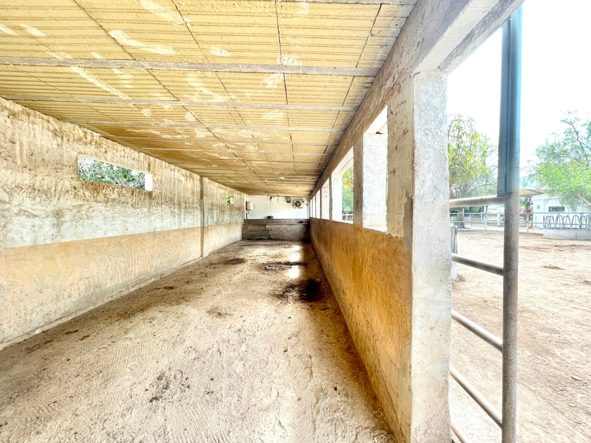 Finca - Cortijo te koop in Orihuela | 3 slaapkamers H5520454