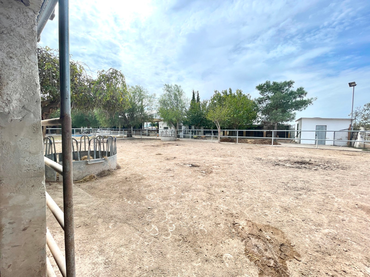 Finca - Cortijo te koop in Orihuela | 3 slaapkamers H5520454