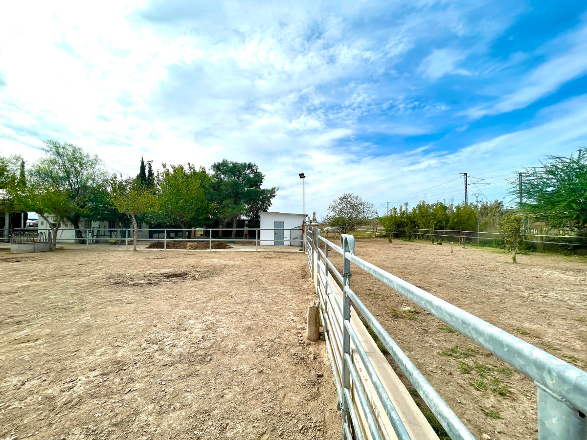 Finca - Cortijo te koop in Orihuela | 3 slaapkamers H5520454