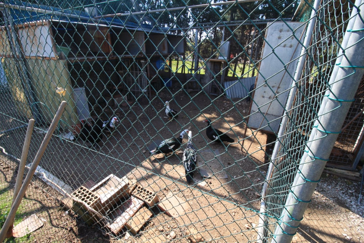 Property main view 15