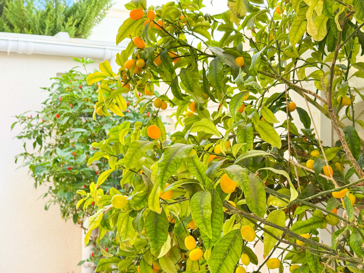 Huis te koop in Parque de las Naciones | 2 slaapkamers H5354008