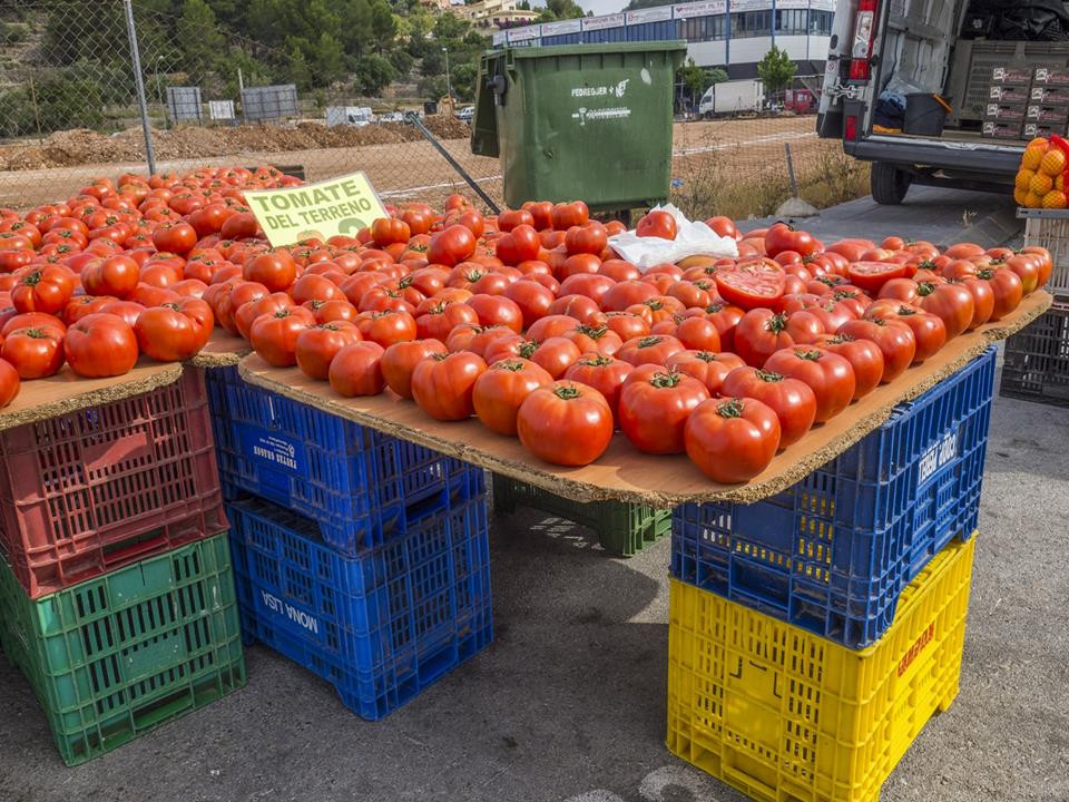 Property main view 7