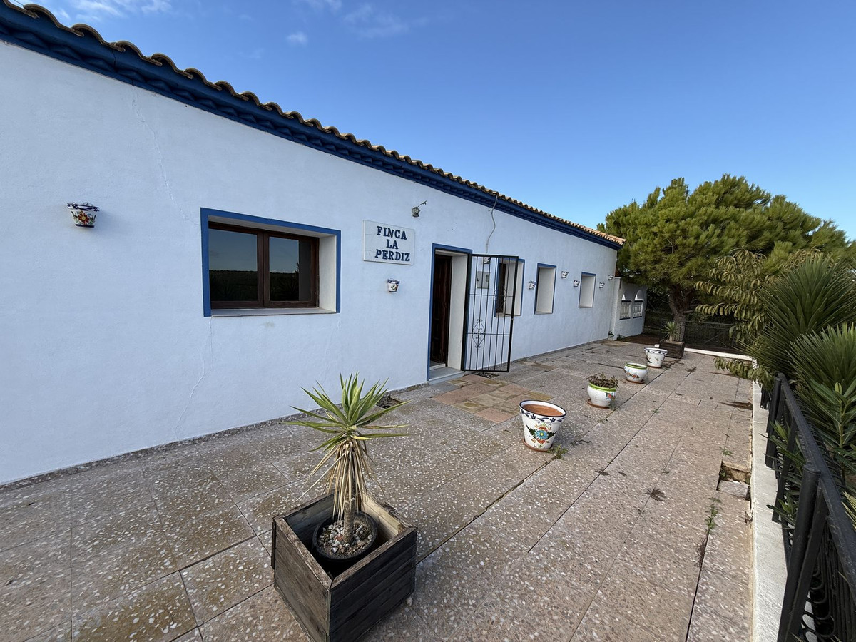 Huis te koop in Pinar de Campoverde | 4 slaapkamers H5253229