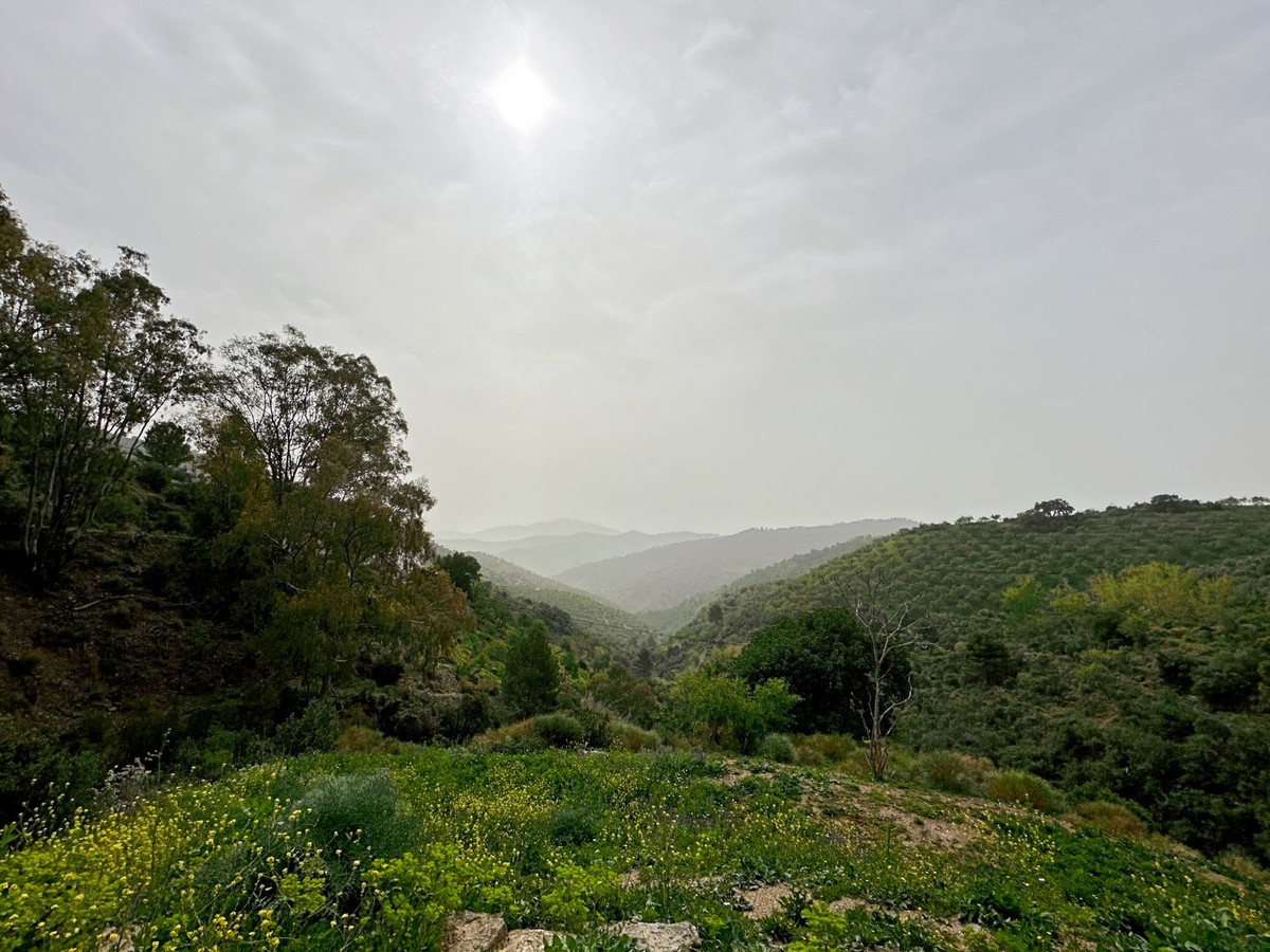 Property main view 13