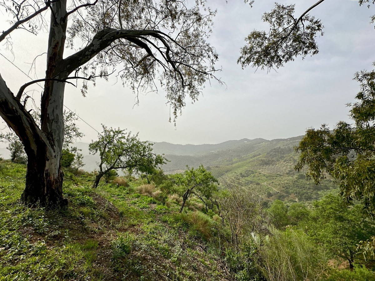 Property main view 23