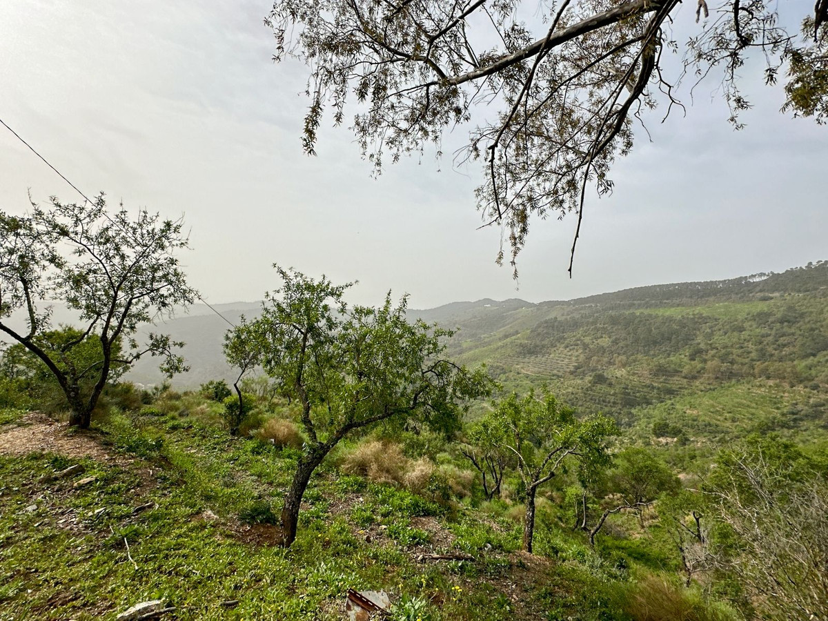 Property main view 45