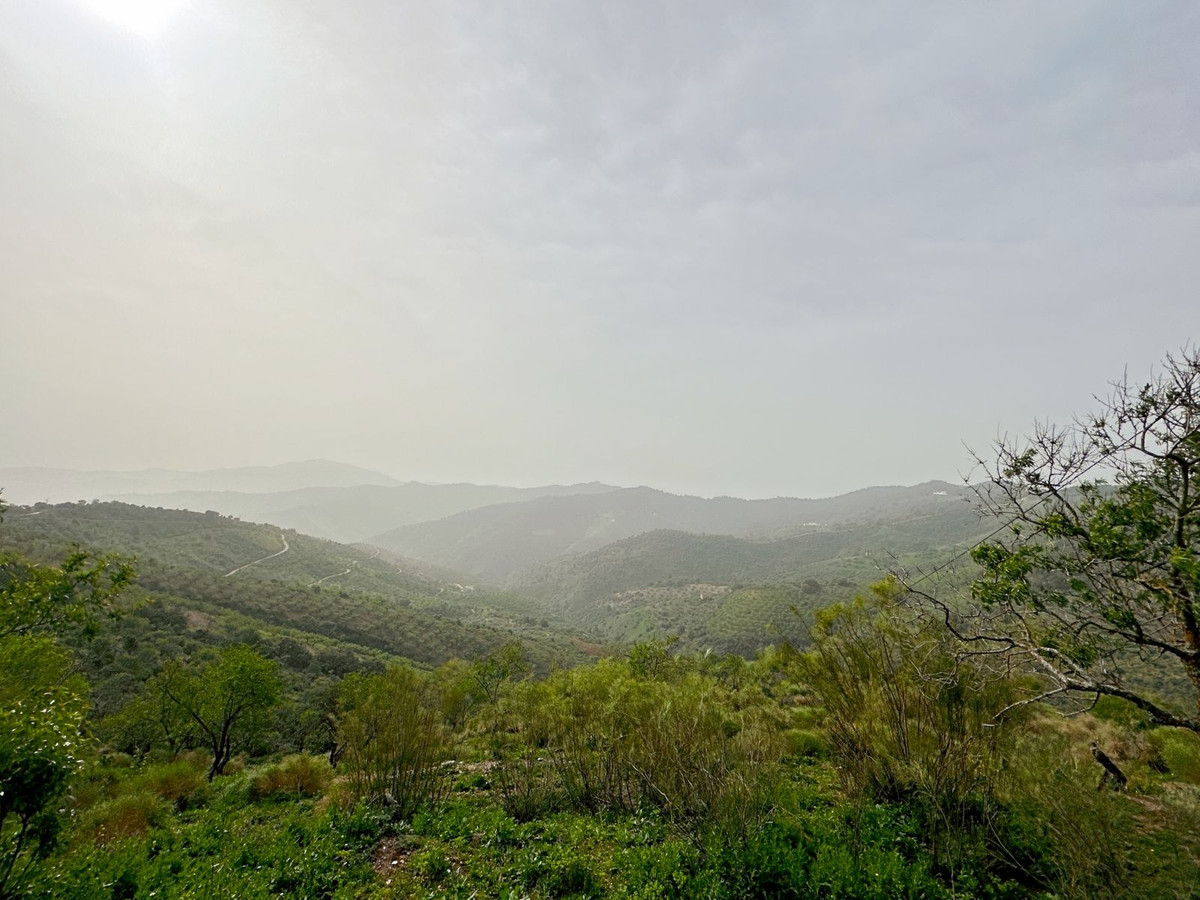 Property main view 67