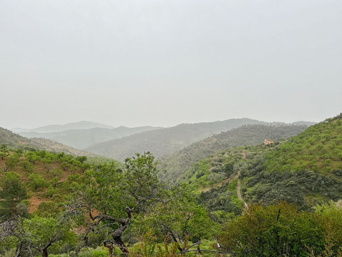 Property main view 85