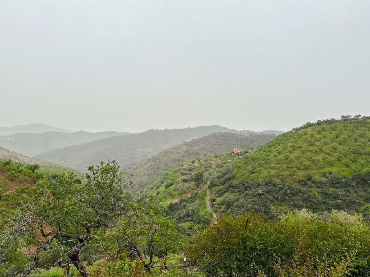 Property main view 86