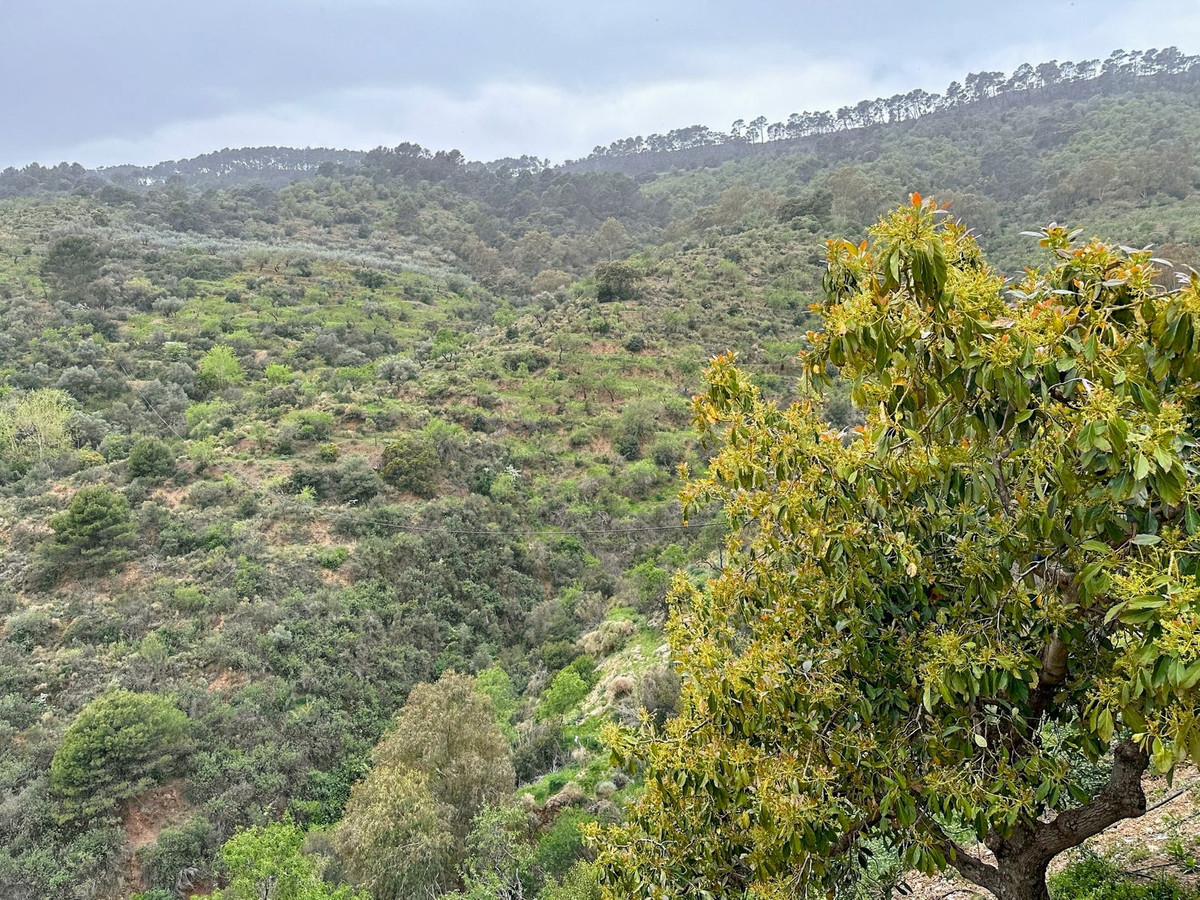 Property main view 90