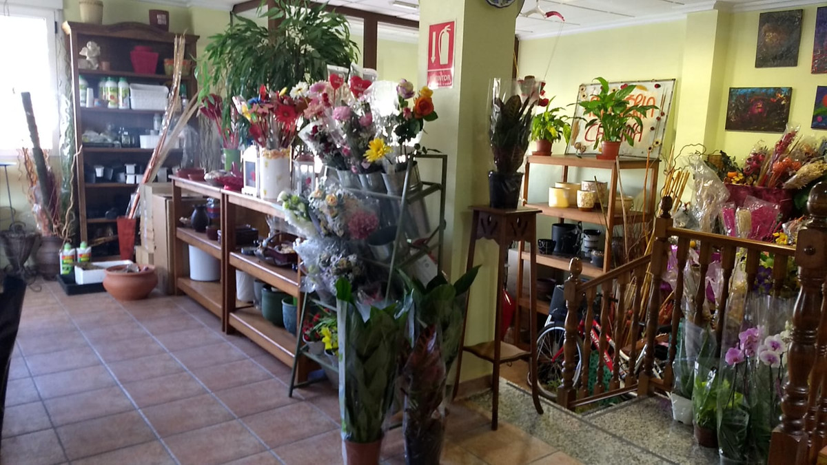 Property main view 3