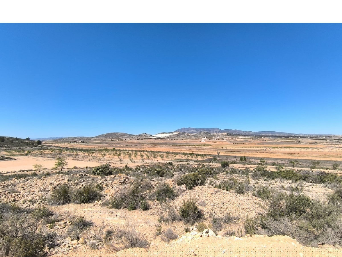 Property main view 2