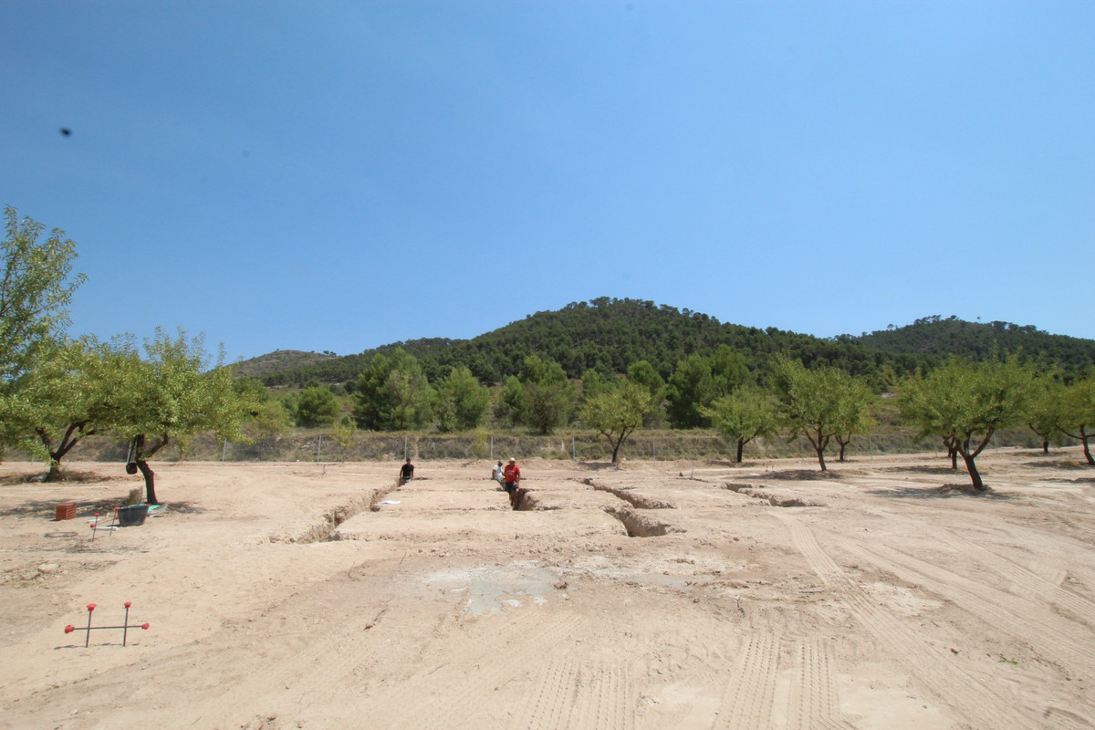 Property main view 2