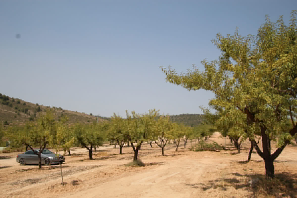 Property main view 10