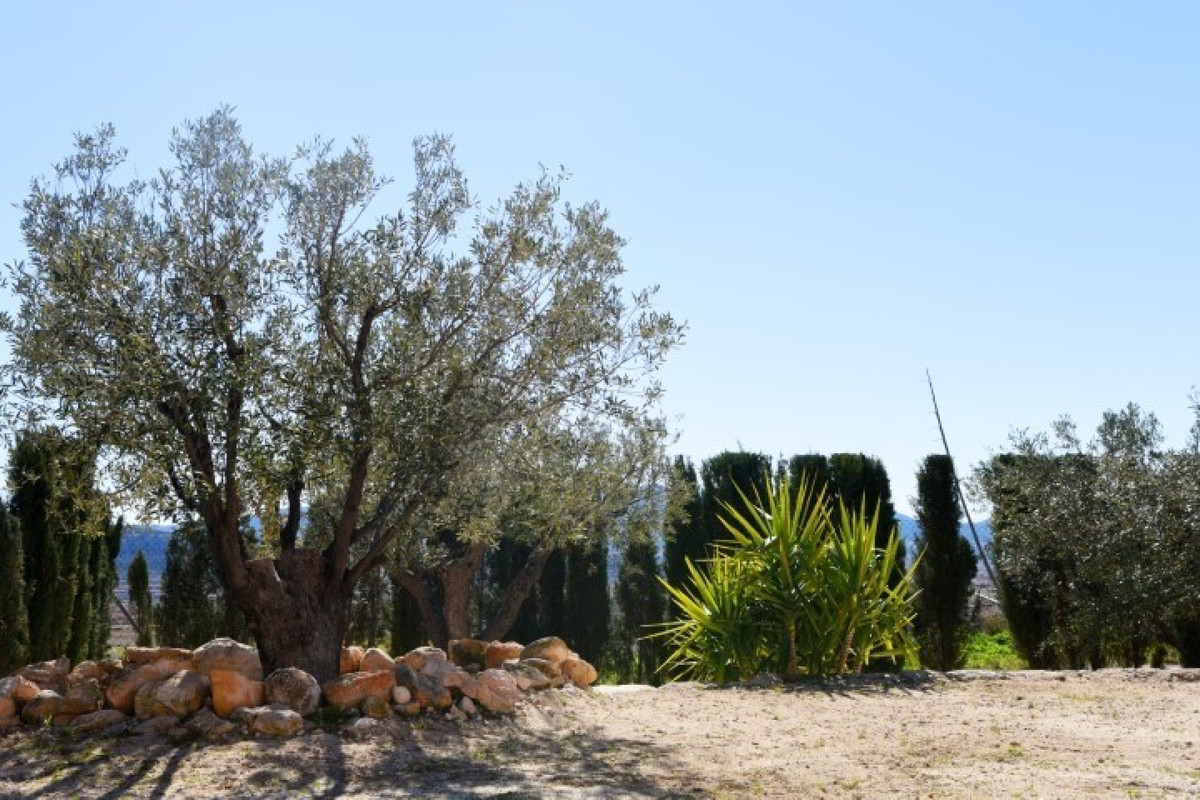 Vrijstaande Villa te koop in Pinoso | 4 slaapkamers H5182054