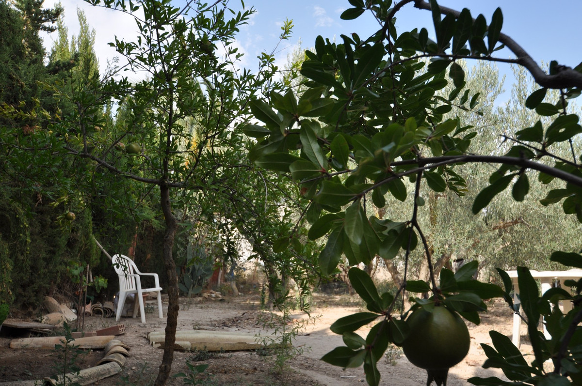 Property main view 10