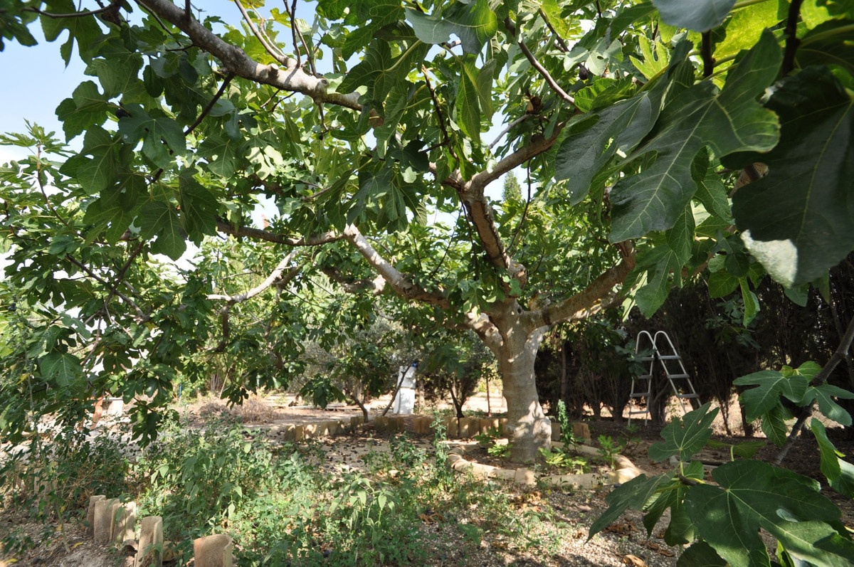 Property main view 11