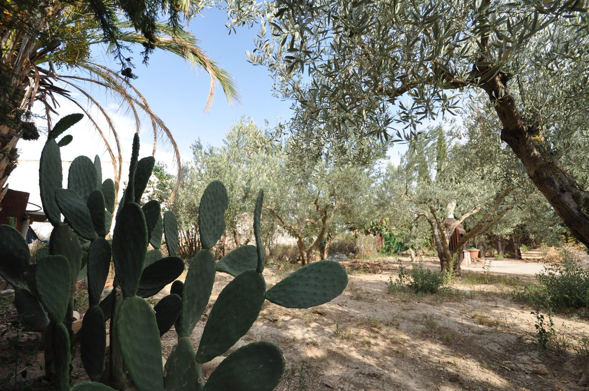 Property main view 12