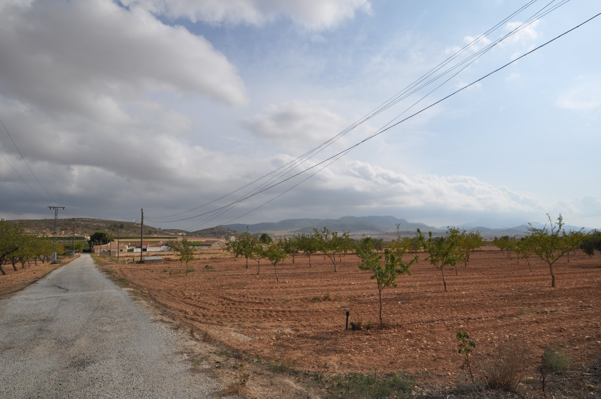 Property main view 15