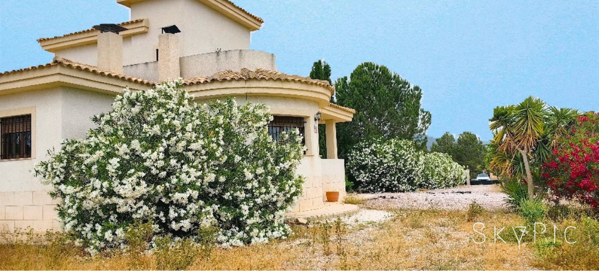 Vrijstaande Villa te koop in Pinoso | 3 slaapkamers H5417311