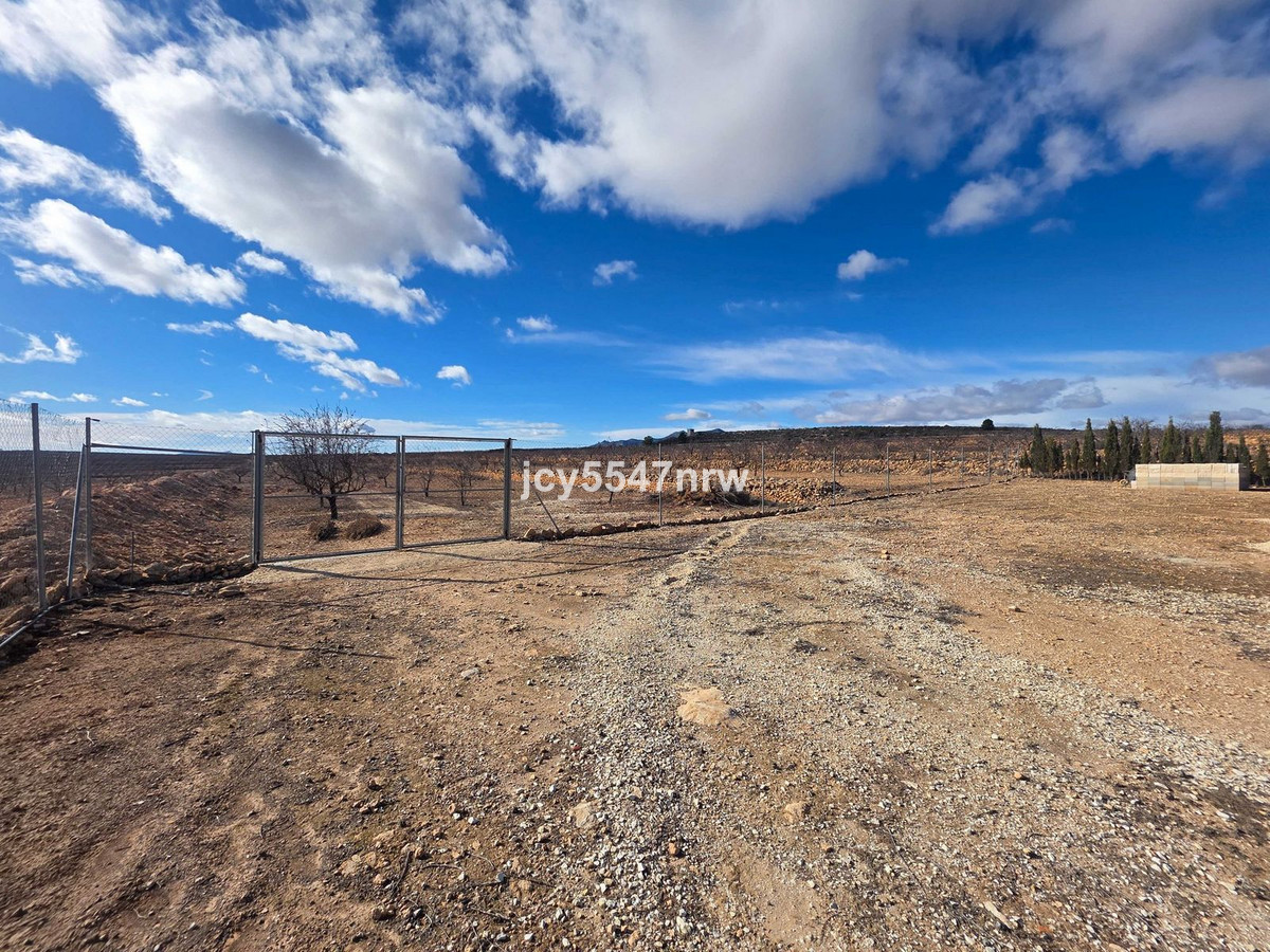 Property main view 71