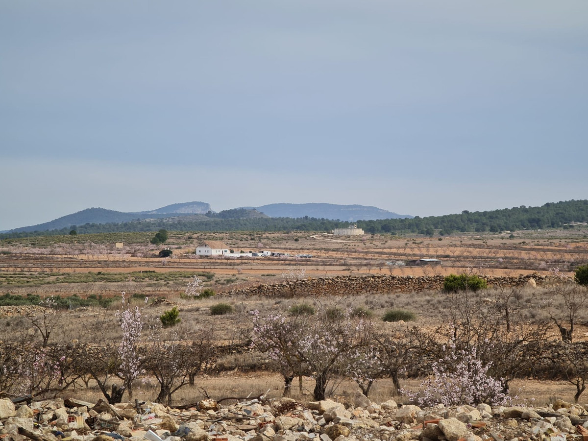 Property main view 19