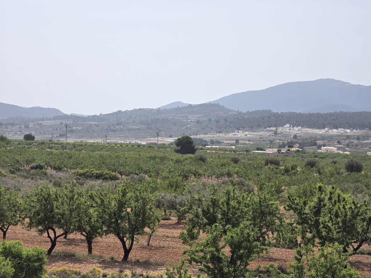 Property main view 35