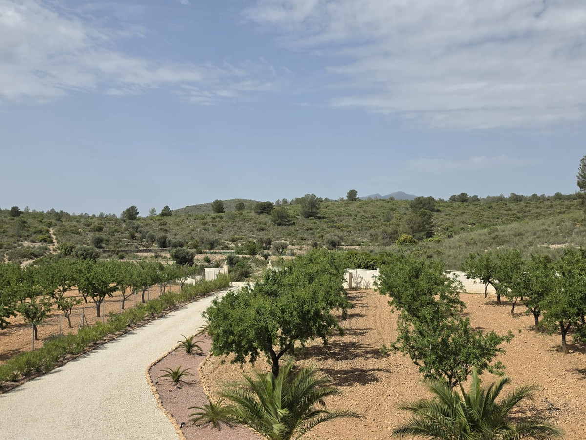 Property main view 37