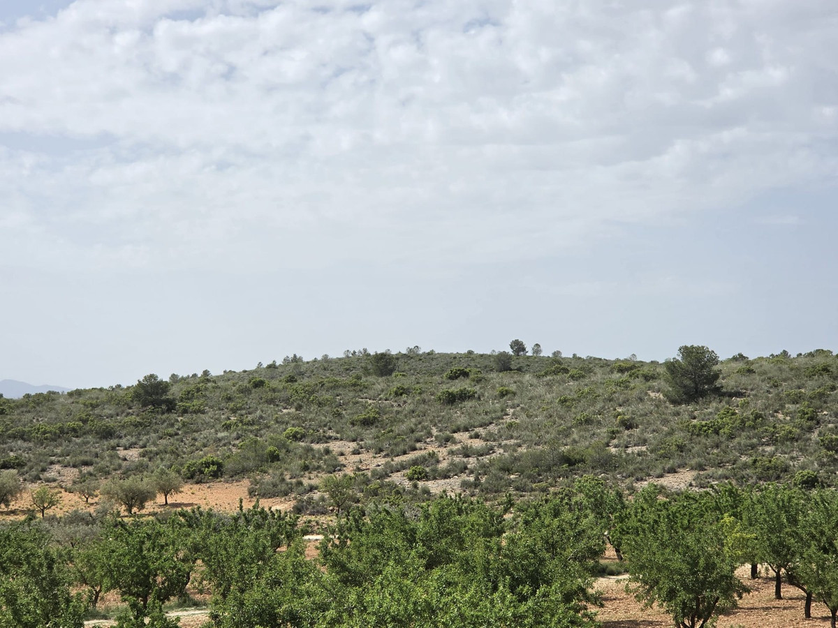 Property main view 38
