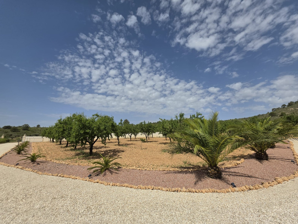 Property main view 39