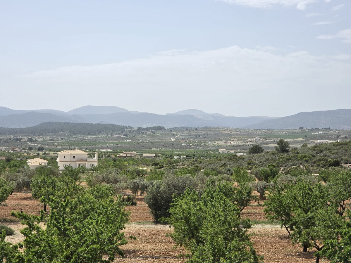 Property main view 43