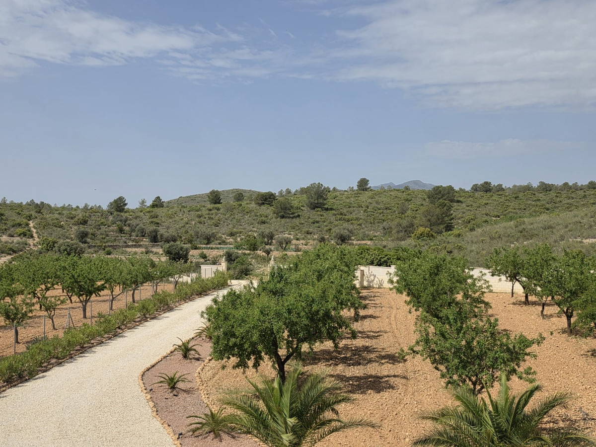 Property main view 44