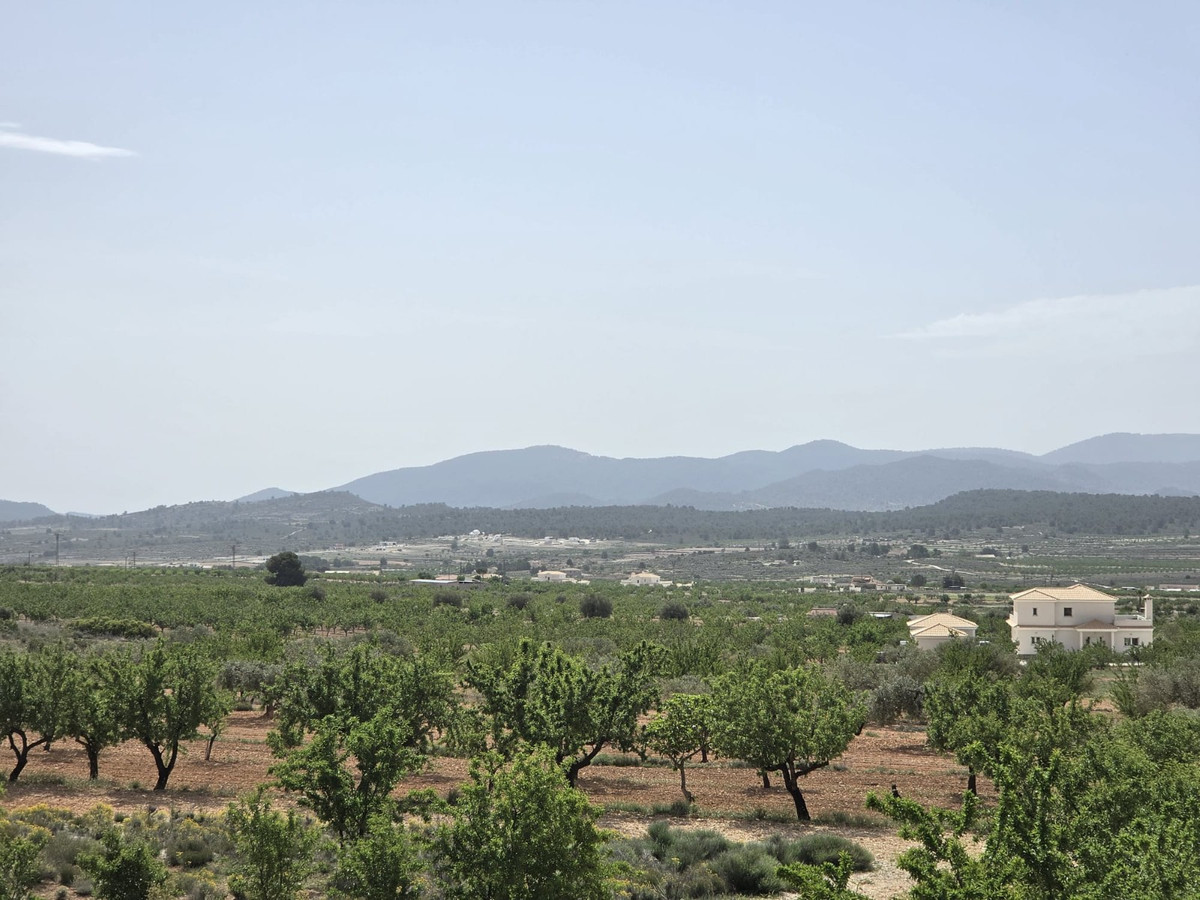 Property main view 45