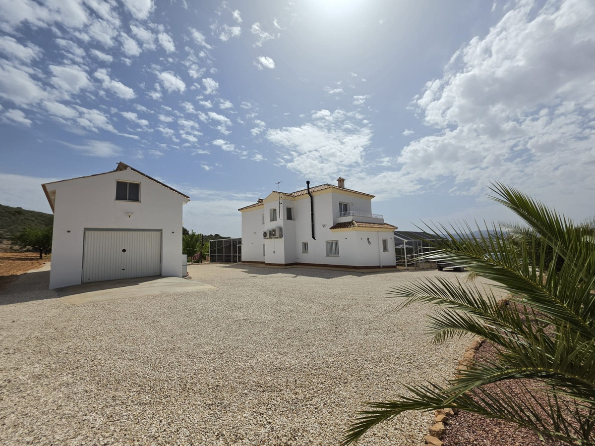 Property main view 65